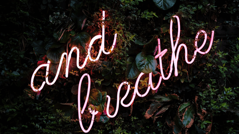 Remote Working: Tips From Industry Experts